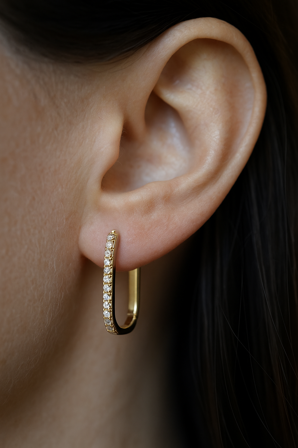 LIZ HOOPS
