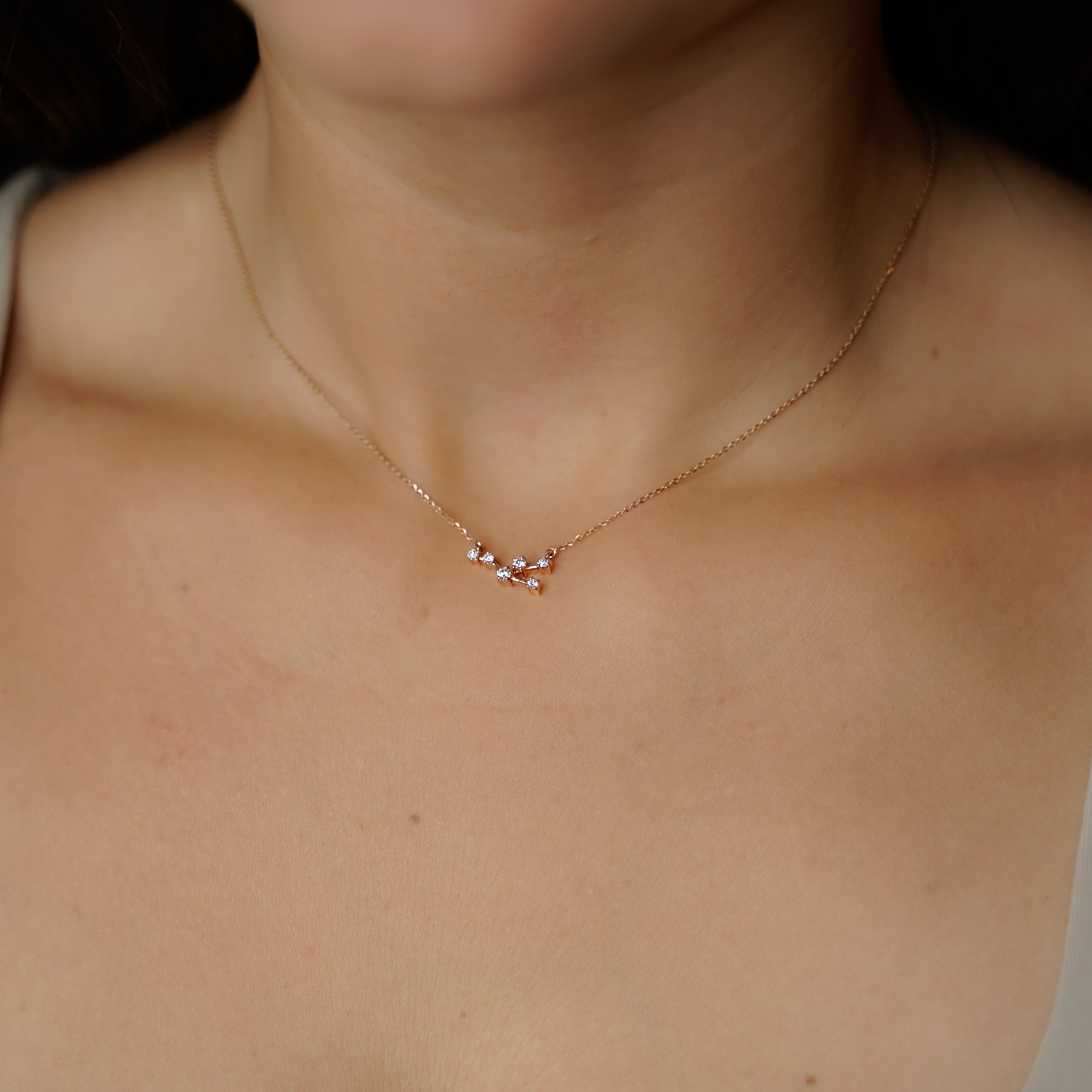 ZODIAC SIGNS NECKLACE